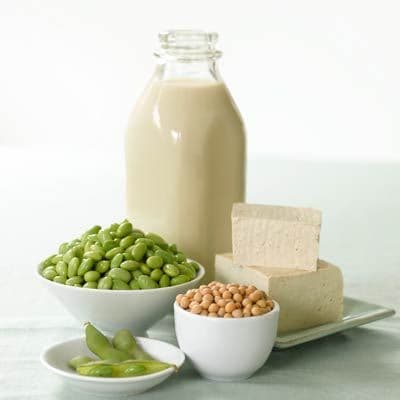 Fresh Dairy and Milk Products